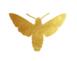 Gold Moth Arna Falco Embelm