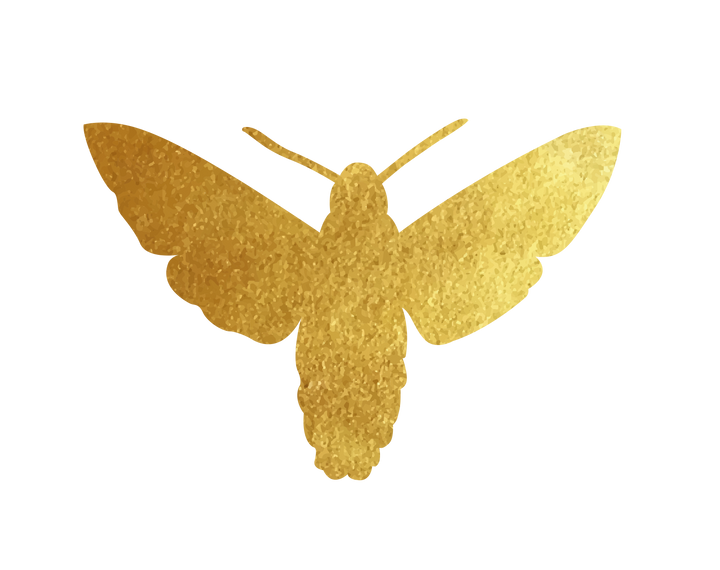 Gold Moth Arna Falco Embelm